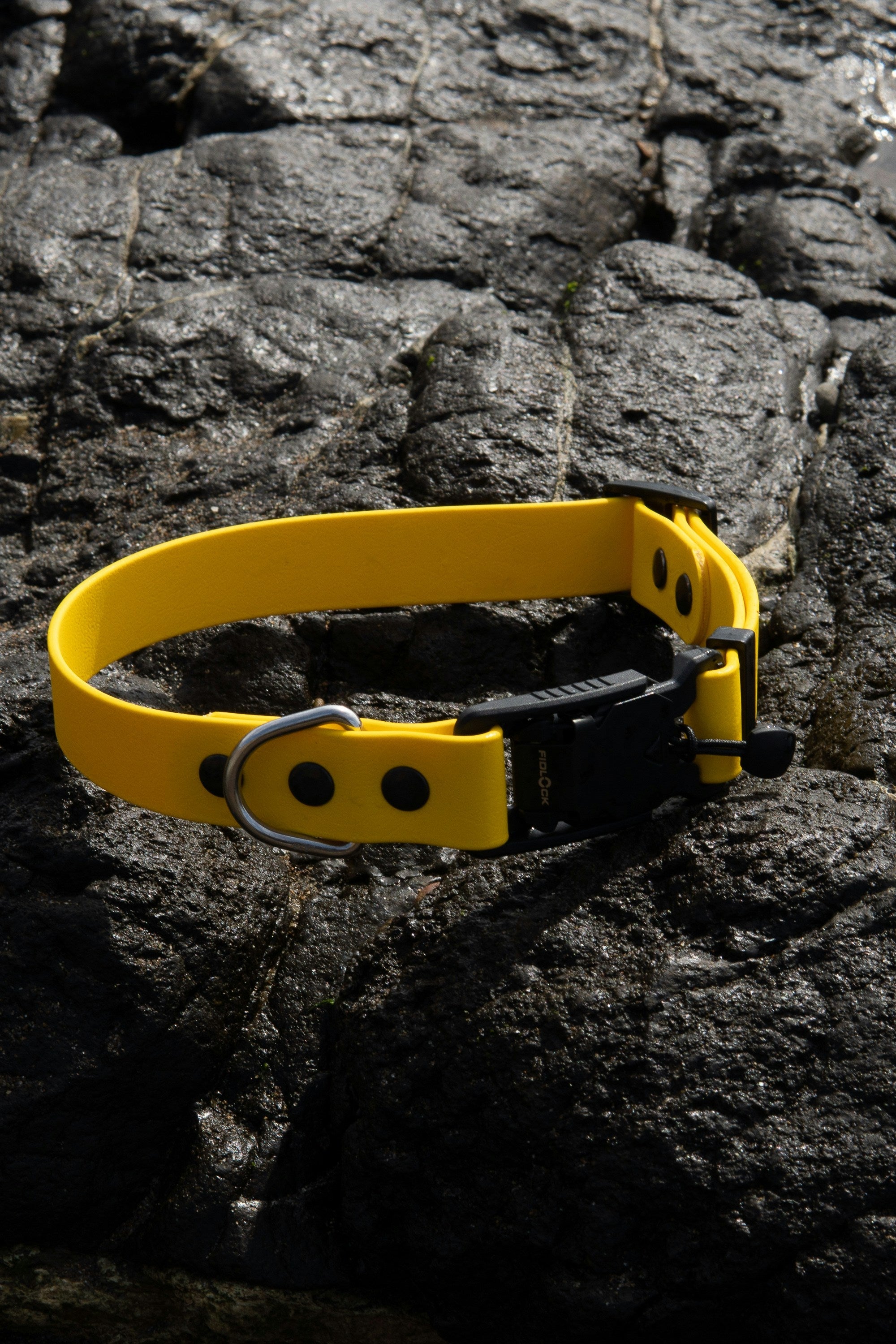 Wat is een teckel armband?